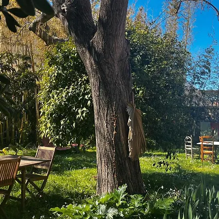 Jardin D'eden Villa