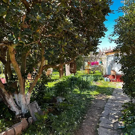 Jardin D'eden *