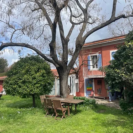Jardin D'eden *
